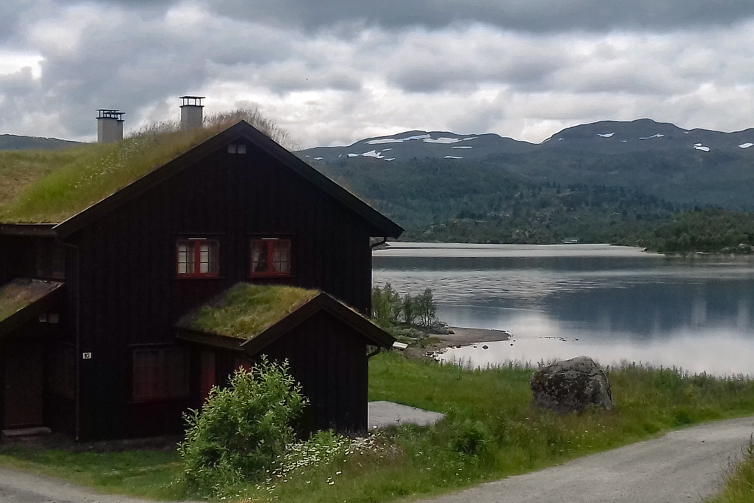 Norweska przyroda – jak ją odkryć na własną rękę?